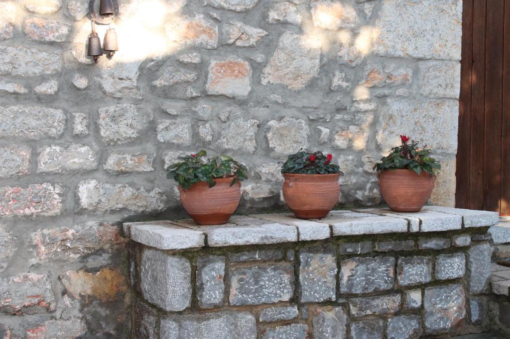 Guesthouse Karahalios โปลีดรอสโซส ภายนอก รูปภาพ